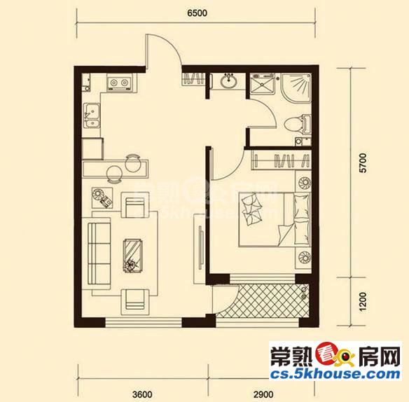 泰安菜场旁 颜港七弄 精装单身公寓 设施齐全 拎包入住