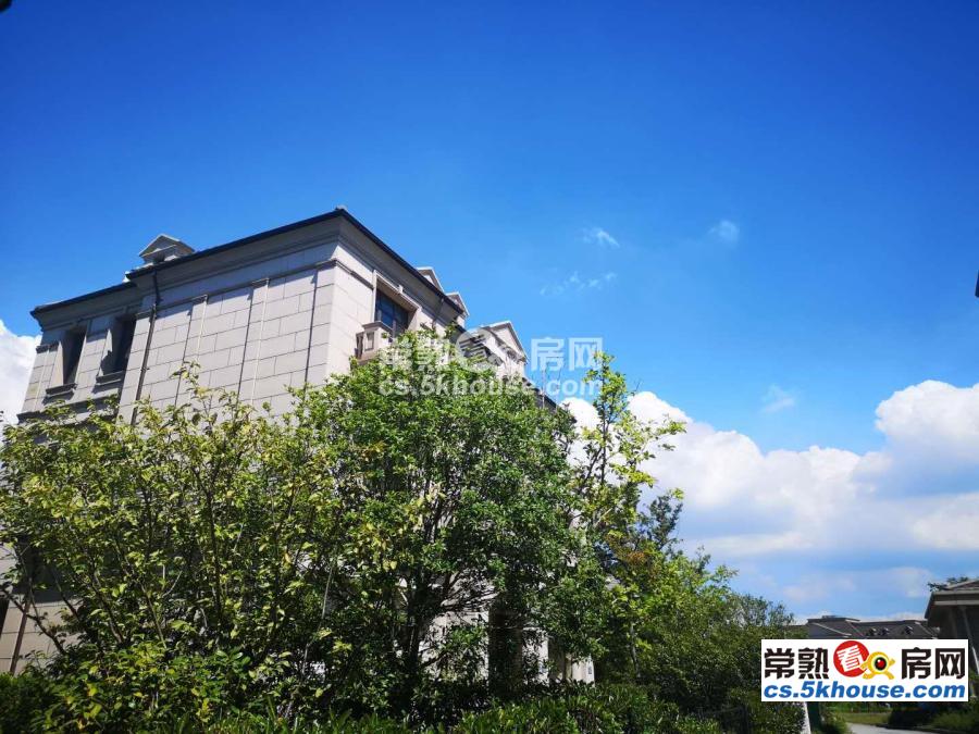 阳澄湖之星 中心位置 大平层的价钱 299万 买大别墅 纯毛坯带电梯 看房随时