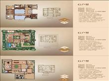 名流御园户型图(4)