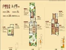 尚湖·玫瑰园三期户型图(1)