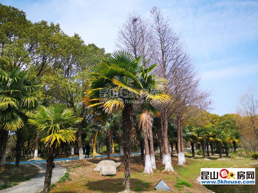 昆山周市碧桂园星澜雅苑 、精装修、全屋装修、新风系统、城北科技城
