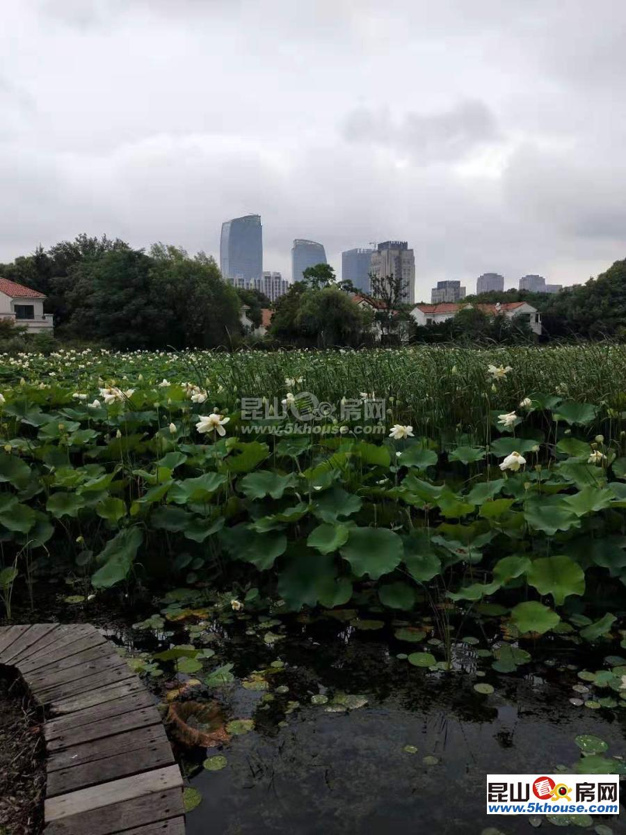 花橋a區(qū)緊鄰上海大獨(dú)棟別墅大花園私密性好四面花園環(huán)繞環(huán)境優(yōu)美