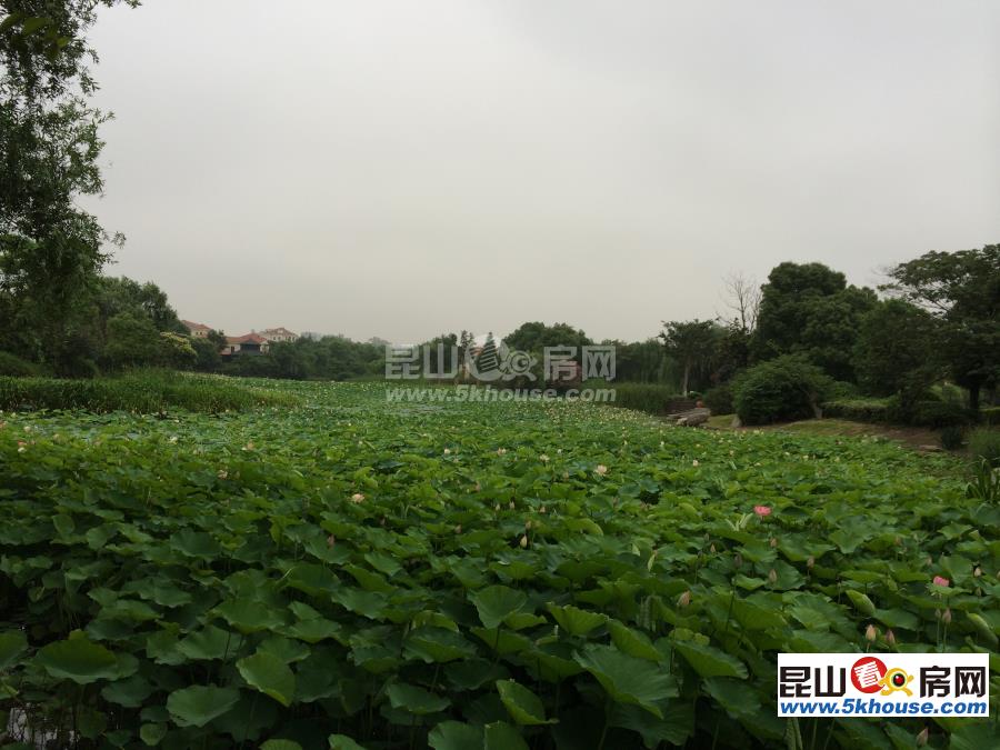 雙拼別墅大花園   超高性價比   地鐵口800米