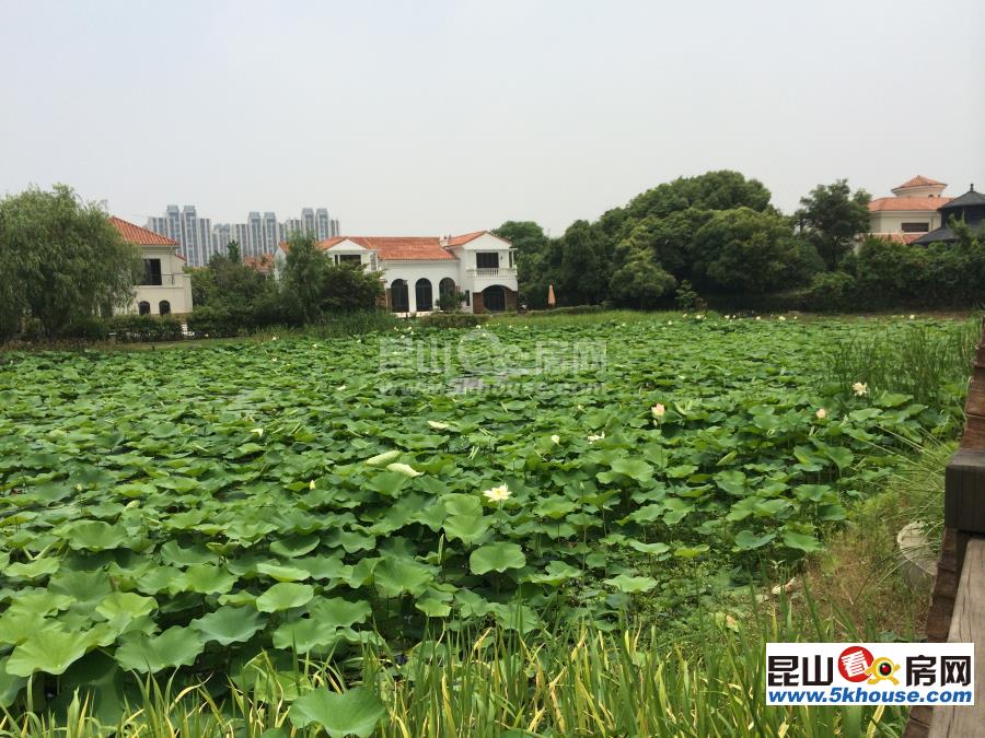 雙拼別墅大花園   超高性價比   地鐵口800米