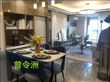 花橋,地鐵300米,象嶼品牌南北通,配套學校