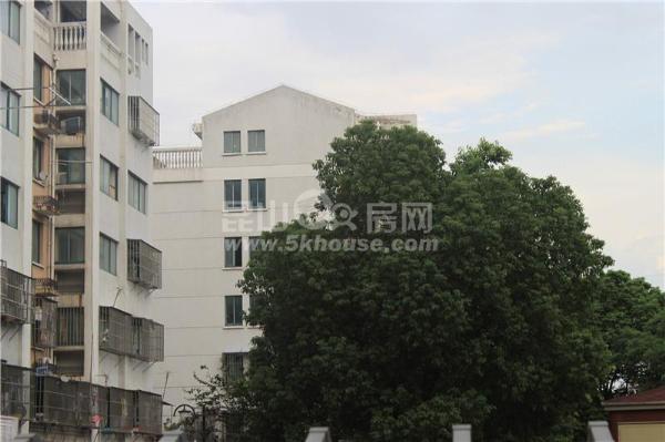 环庆花园 94平 毛坯大两房 房东急卖125万 还有一个30平的汽车库哦