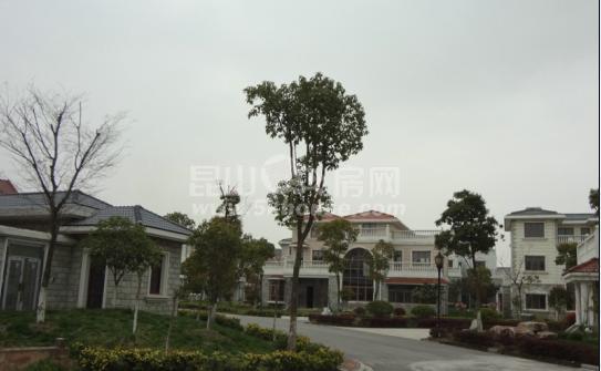鼎园美墅稀缺独栋纯毛坯房东诚心出售随时看房