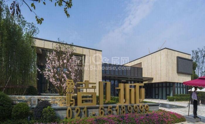 象嶼都城 華東國際康橋學校 黃金地段 核心區域 70年產權可落戶