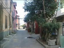 項(xiàng)路景苑實(shí)景圖(10)