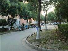 泗泾湾家园实景图(5)