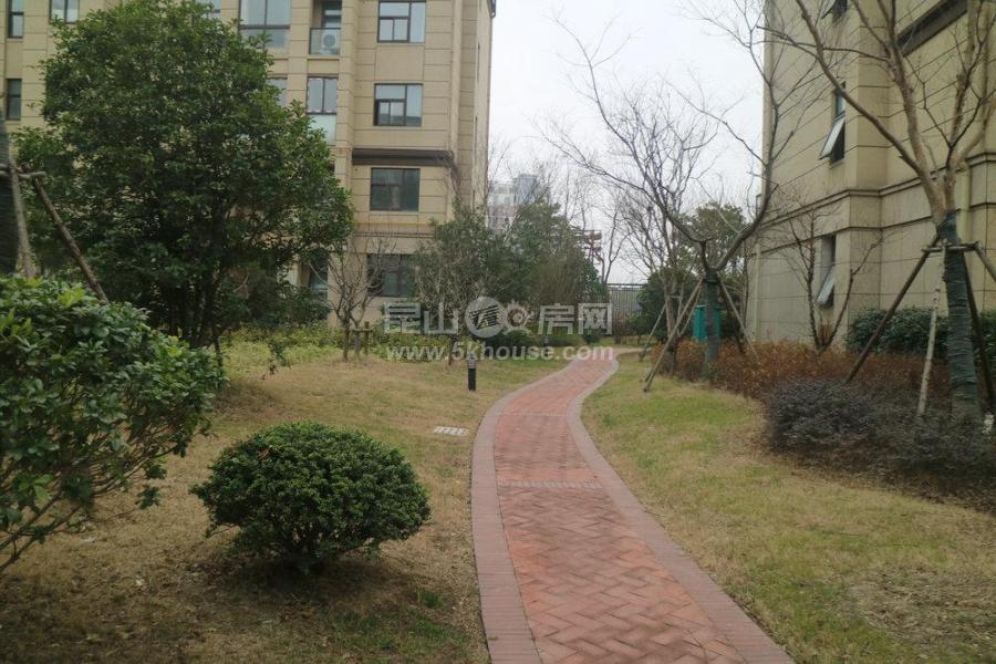 碧悦湾 新小区 毛坯电梯 大两房 一家人足够 急卖