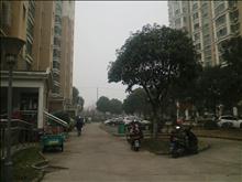 上海星城花园实景图(20)