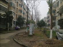 上海星城花园实景图(12)