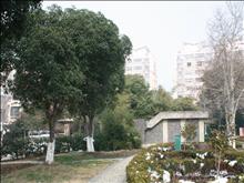 尚城国际花园实景图(17)