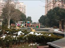 尚城国际花园实景图(16)