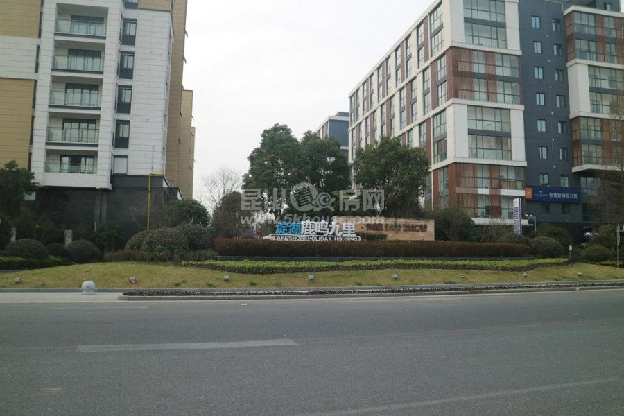 淀山湖区域在售精装新房 地铁口