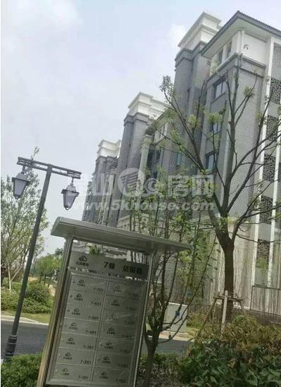 周庄古镇 云谷周庄 两室两厅 精装修 电梯小洋楼采光好