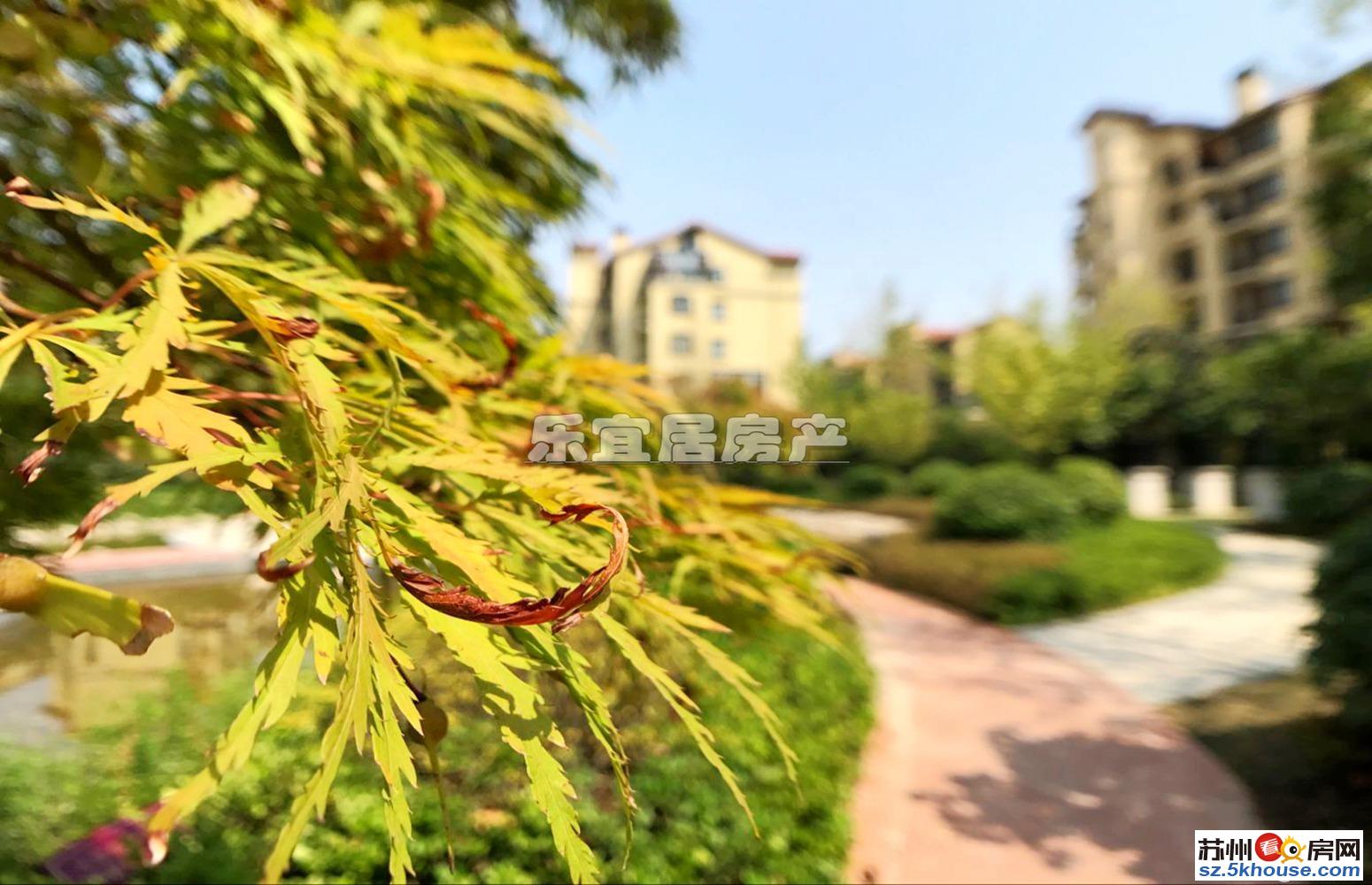 把家搬进花园里 急售丽都洋房120平正气3居 随时看房