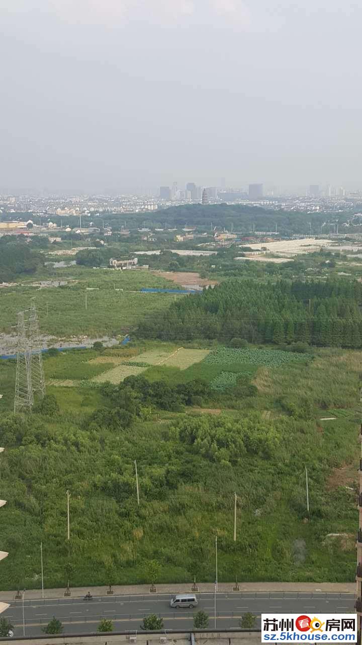 景区房 领秀金品花苑 73平 小区型 南北通透 可入读名校