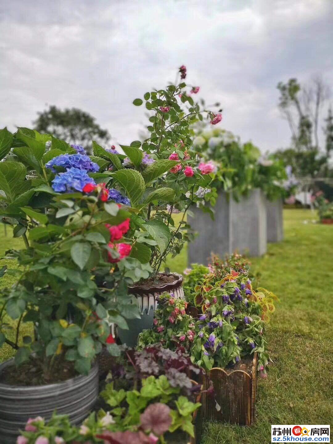 姑苏铭著 花园洋房 欧尚旁 近学校地铁 高档小区 大开间