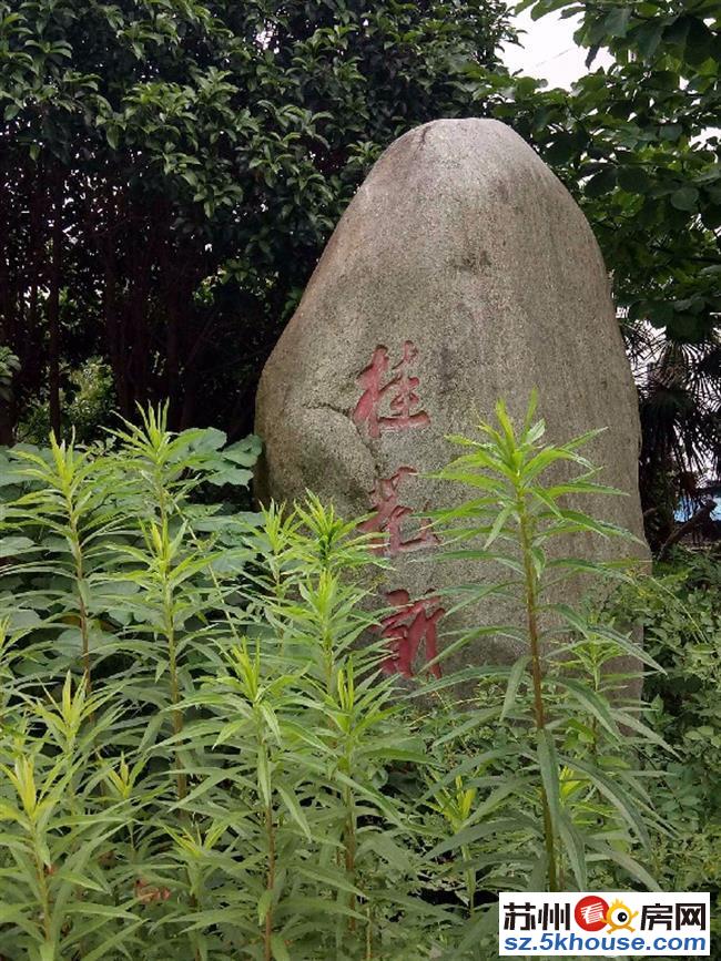 桂花新村带城振华未用三开朝南楼层佳采光无敌双阳台