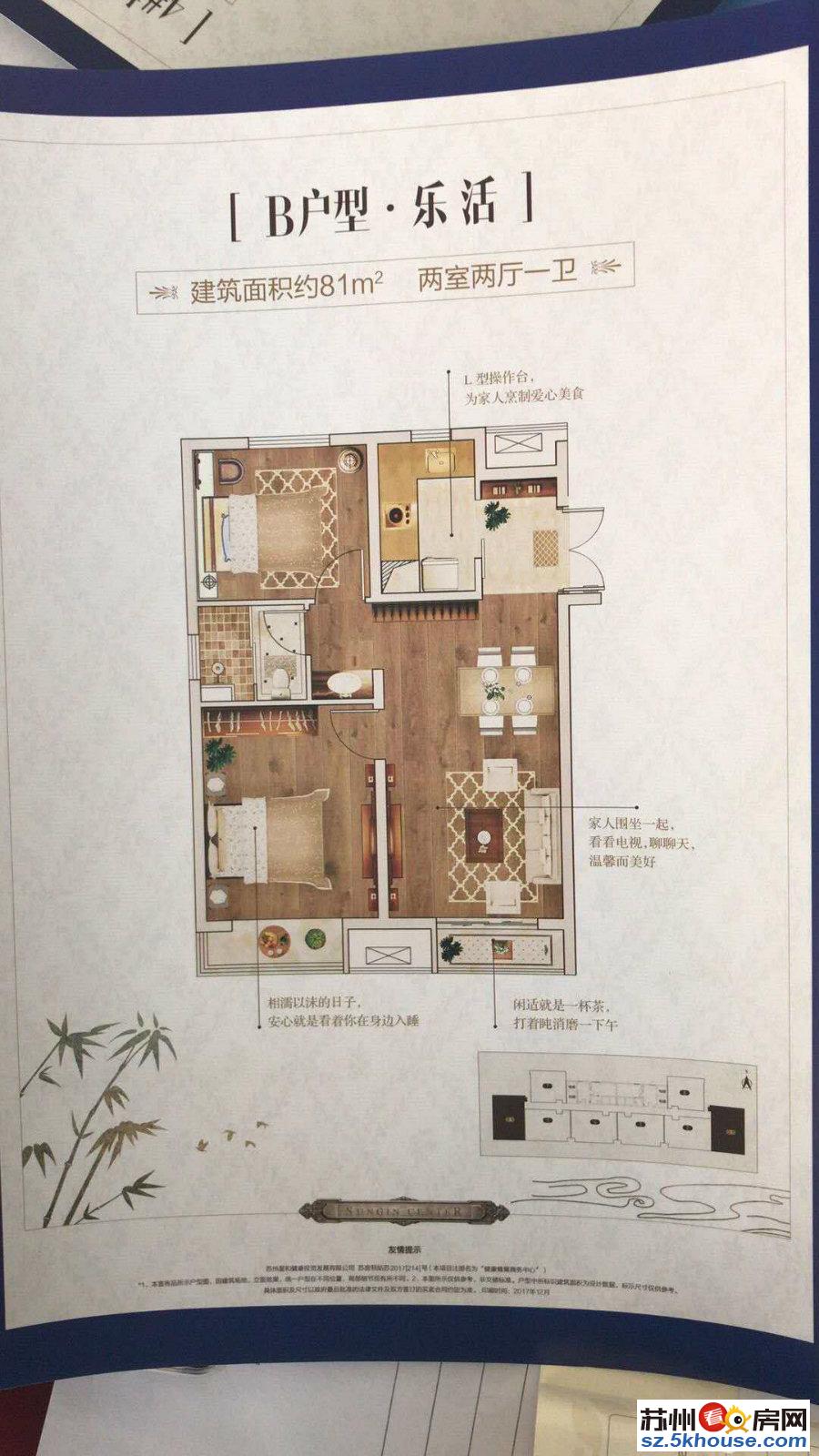 星健中心 民用水电 挑高复式4.5m 三轨交汇 配套齐全 万