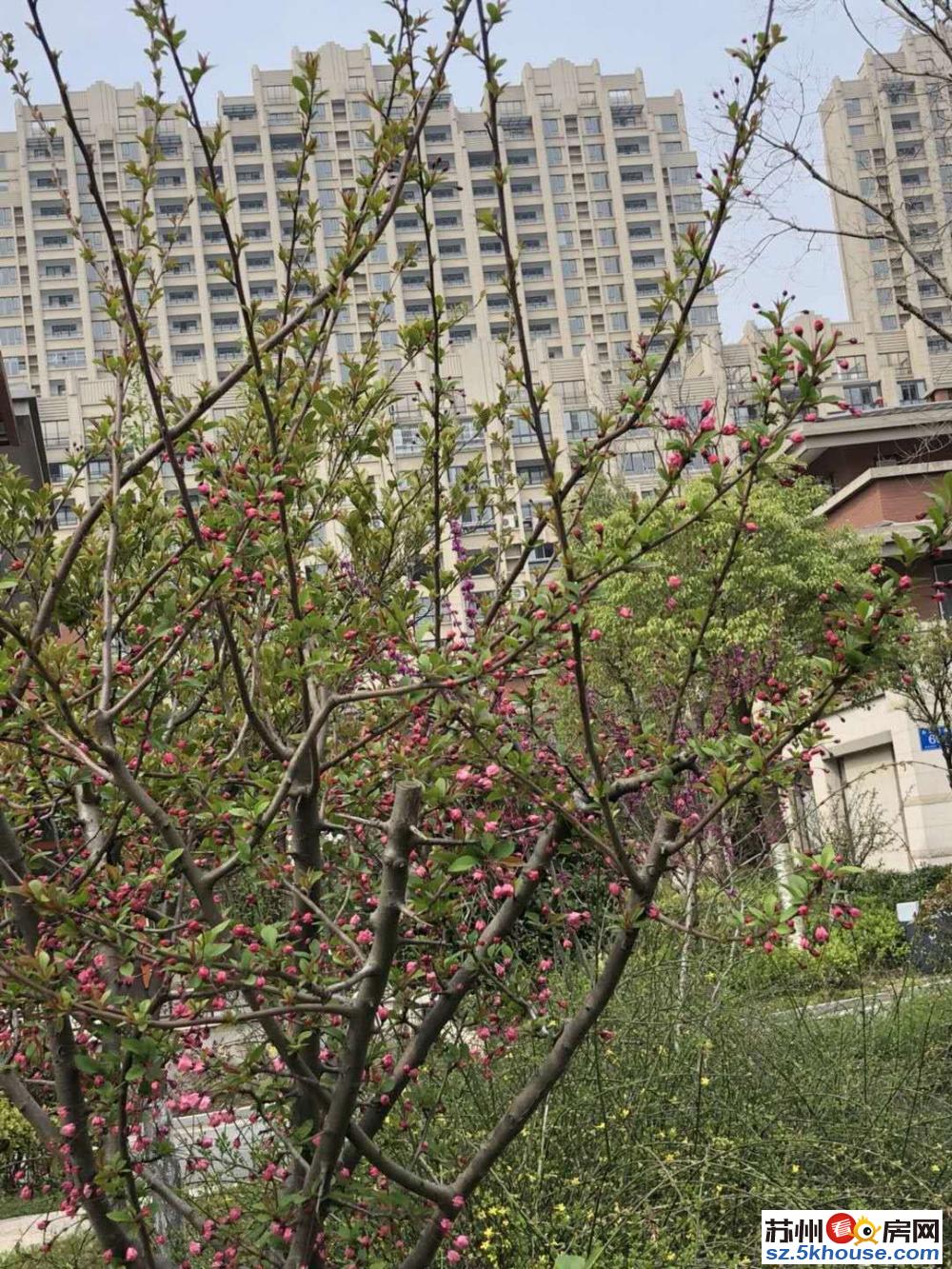 学校刘辟.有4A风景区有影视基地纪念馆镇该市