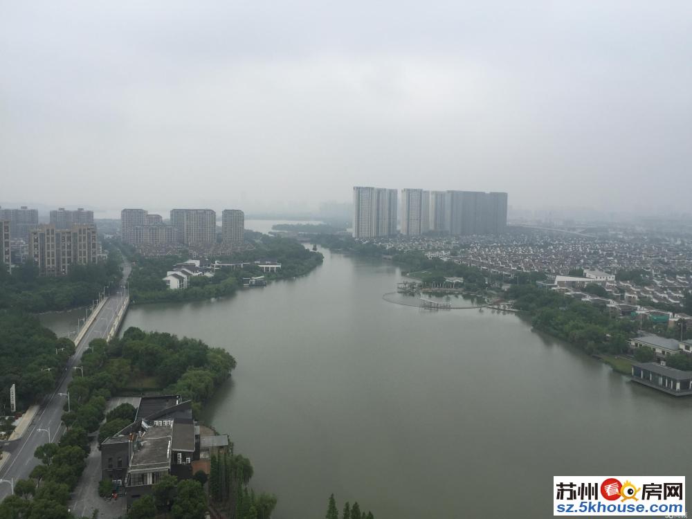 翠湖湾 一线湖景 大户三居室 满两年 房东急售 看房有钥匙