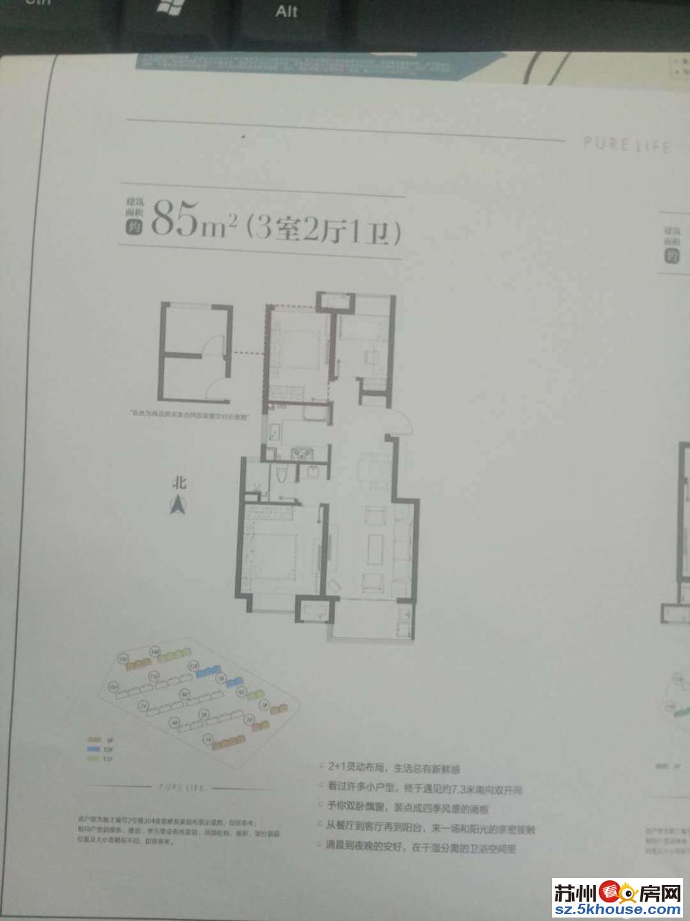 临湖 托斯卡纳联排毛坯博墅 前后院子 环境优美靠近园博园省税