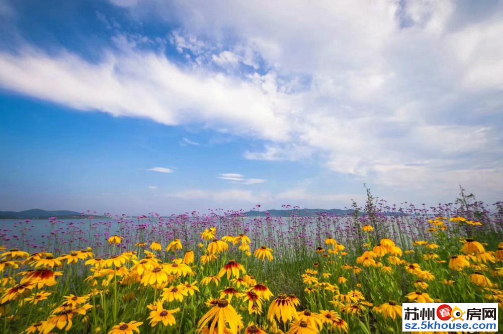 石湖4号线地铁口93平精装湖景房家电全配月租金4800