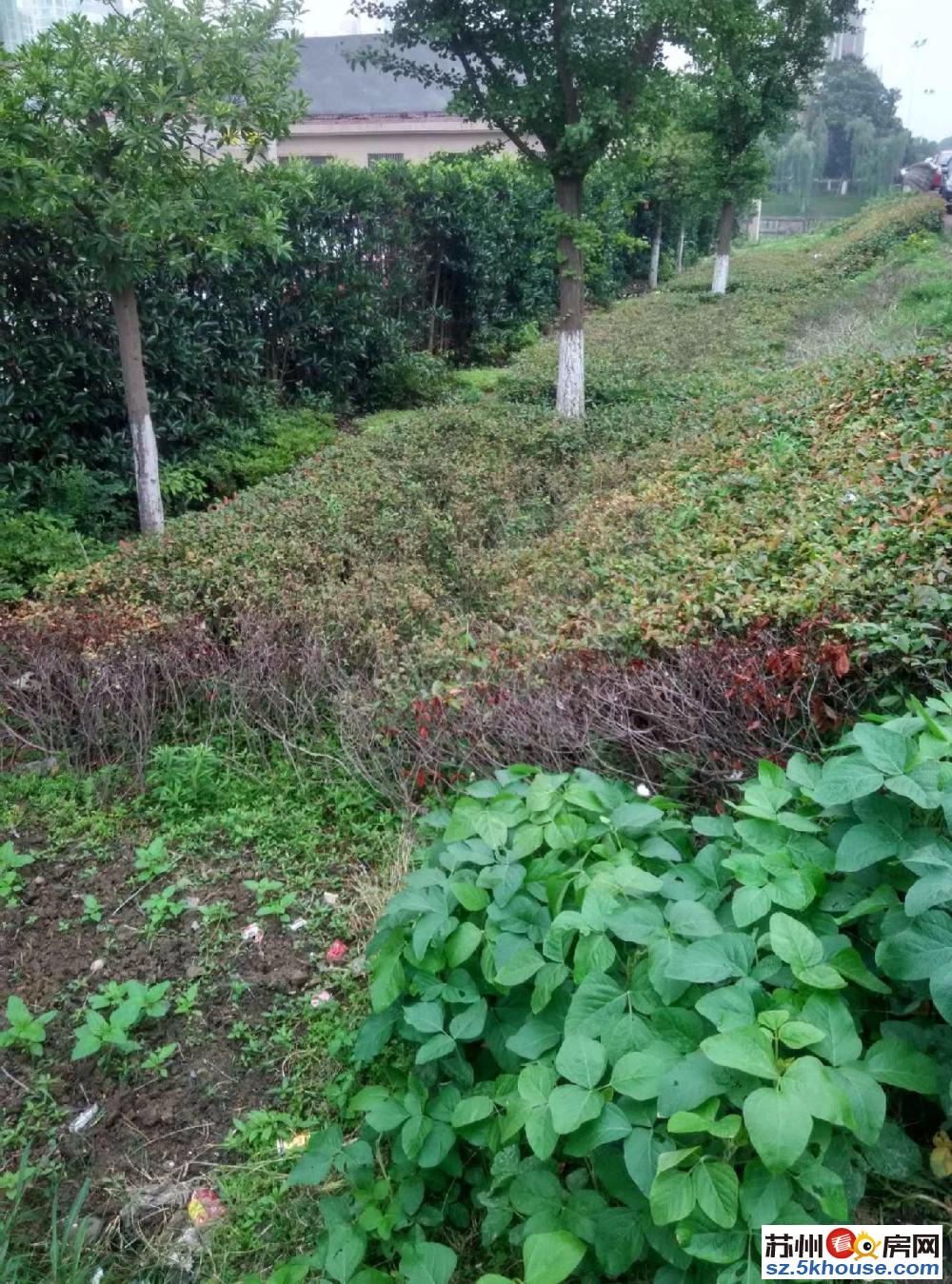 中茵 湖滨花园对面 满两年 跃层 精装 超大阳台 可看湖景