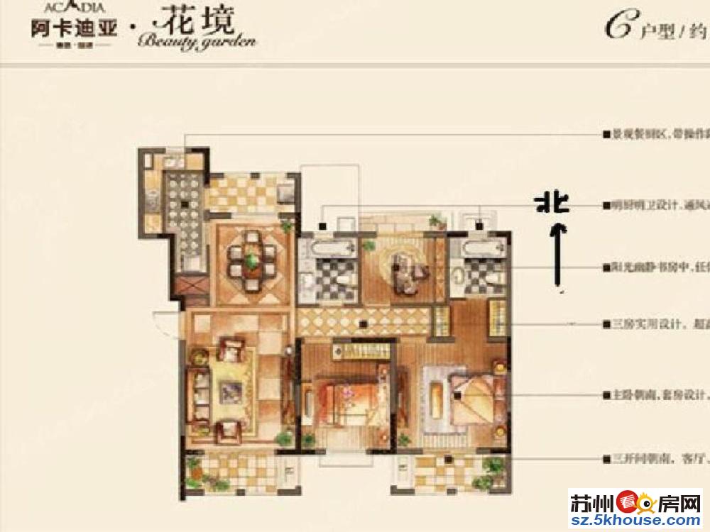 青剑湖 园区三实小 阿卡迪亚花镜 花园洋房 精装满二学户未用