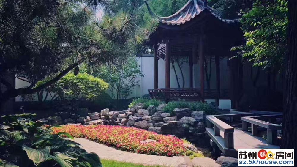 苏州市区 园林式花园别墅 独门带庭院 一定不容错过的院子