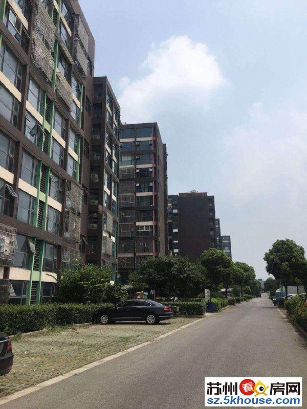 漕湖之星 5.2米复式公寓 民用水电总高6 送双阳台 随时看