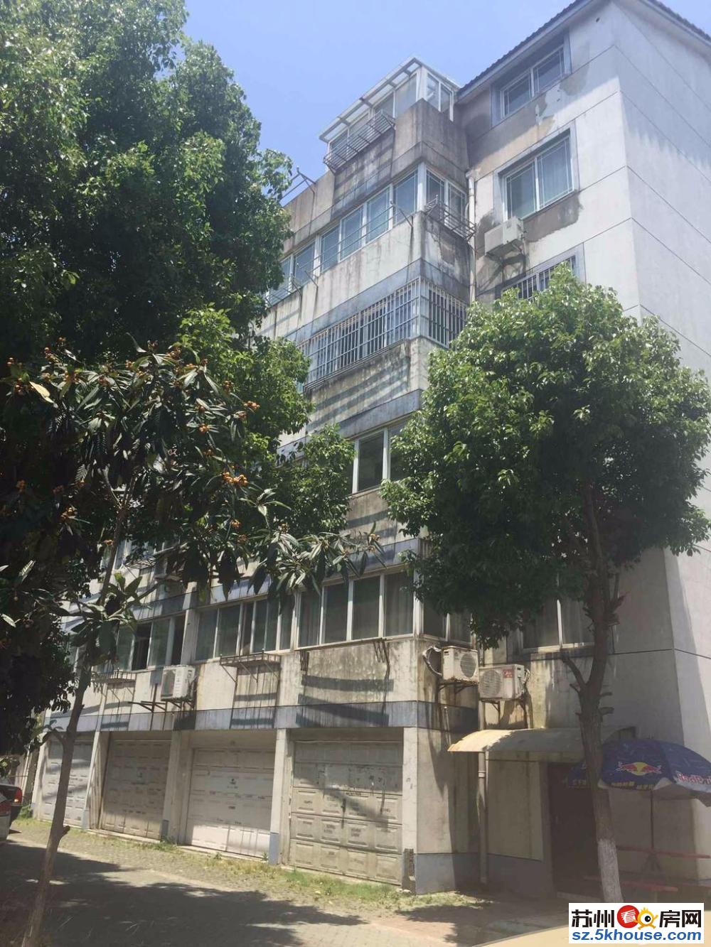 沧实小振华十全街网师花苑精装三房十全小区百步街一号