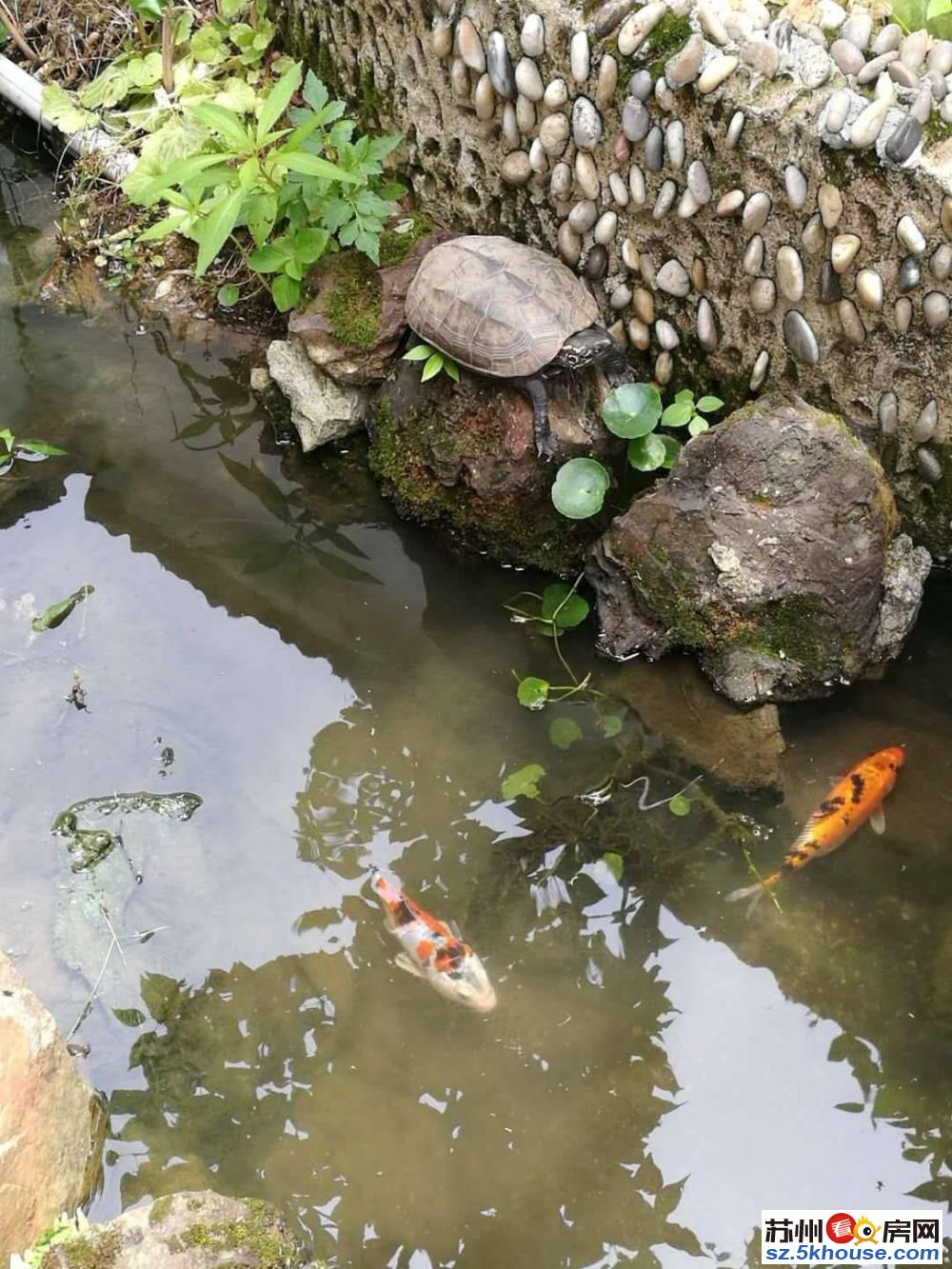 太湖边独栋别墅精装修门口就是太湖湖景视野好可做民宿