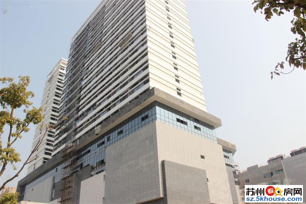 永金公寓挑高4.5米复式公寓出售精装现房楼下欧尚