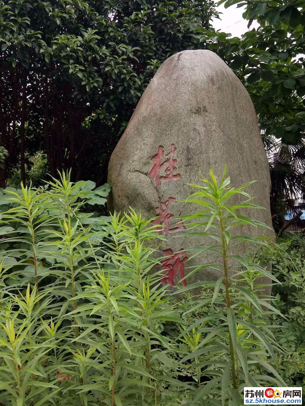 不看你后悔 桂花新村 一楼带院 全明户型 采光无遮挡