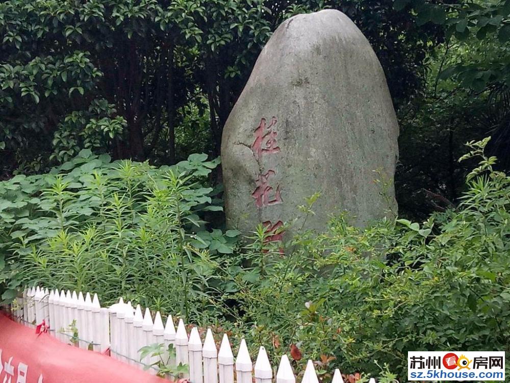 不看你后悔 桂花新村 一楼带院 全明户型 采光无遮挡