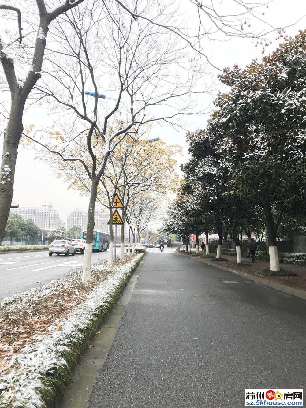 玲珑湾 酒店式公寓出租 图片实拍 看房随时 可看湖景