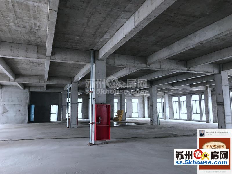 非中介 吴中重点项目 900平米单层厂房 层高7.2米 跨度24.3米 配电充足 可环评 高架旁