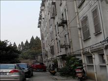 北园路87号小区实景图(9)