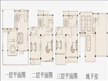 桃坞巷实景图(2)