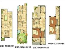 天地壹号实景图(1)