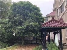 国泰花园别墅+院子,院子开门可直接到滨河公园, 6300元/月 5室2厅3卫, 精装修