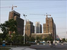 开发区商务广场A、B、C、D四幢办公楼实景图(9)