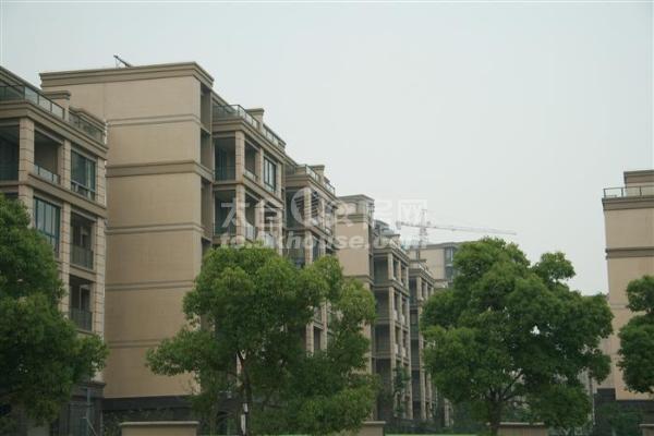 上上海花城精装两房租1800