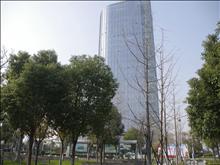 淏华国际大厦实景图(1)