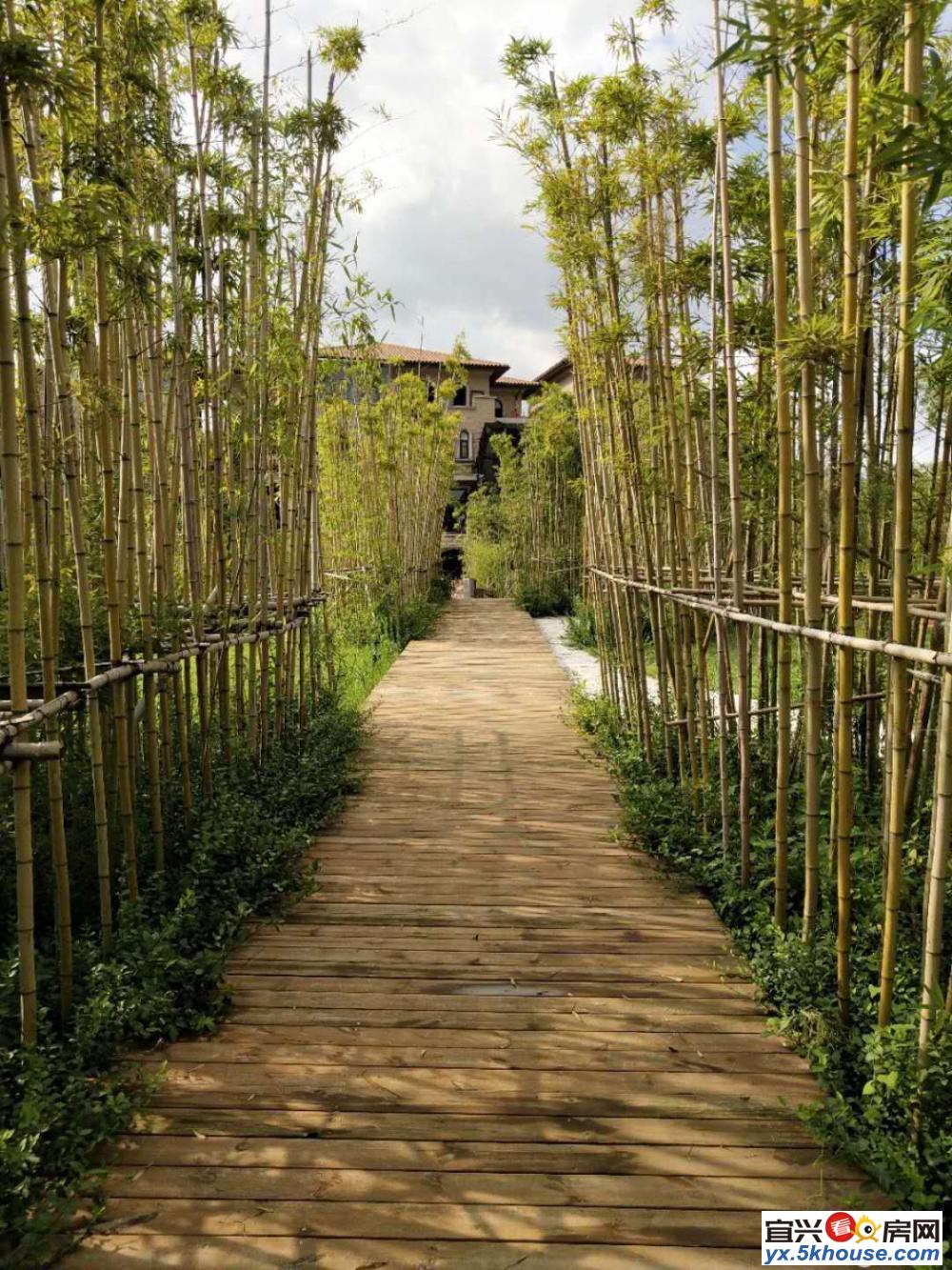 无锡竹海风景区 中交阳羡美庐双拼精装别墅 赠花园 天然氧吧