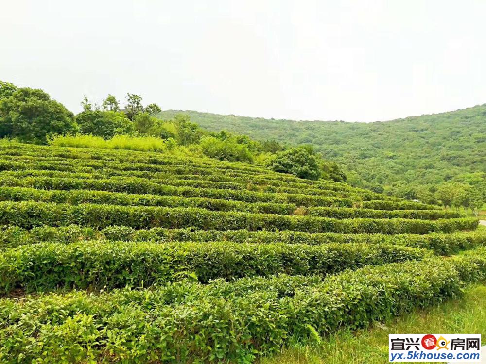 售楼处 竹海旅游度假区 中交阳羡精装美墅 环氧离子高三面环山